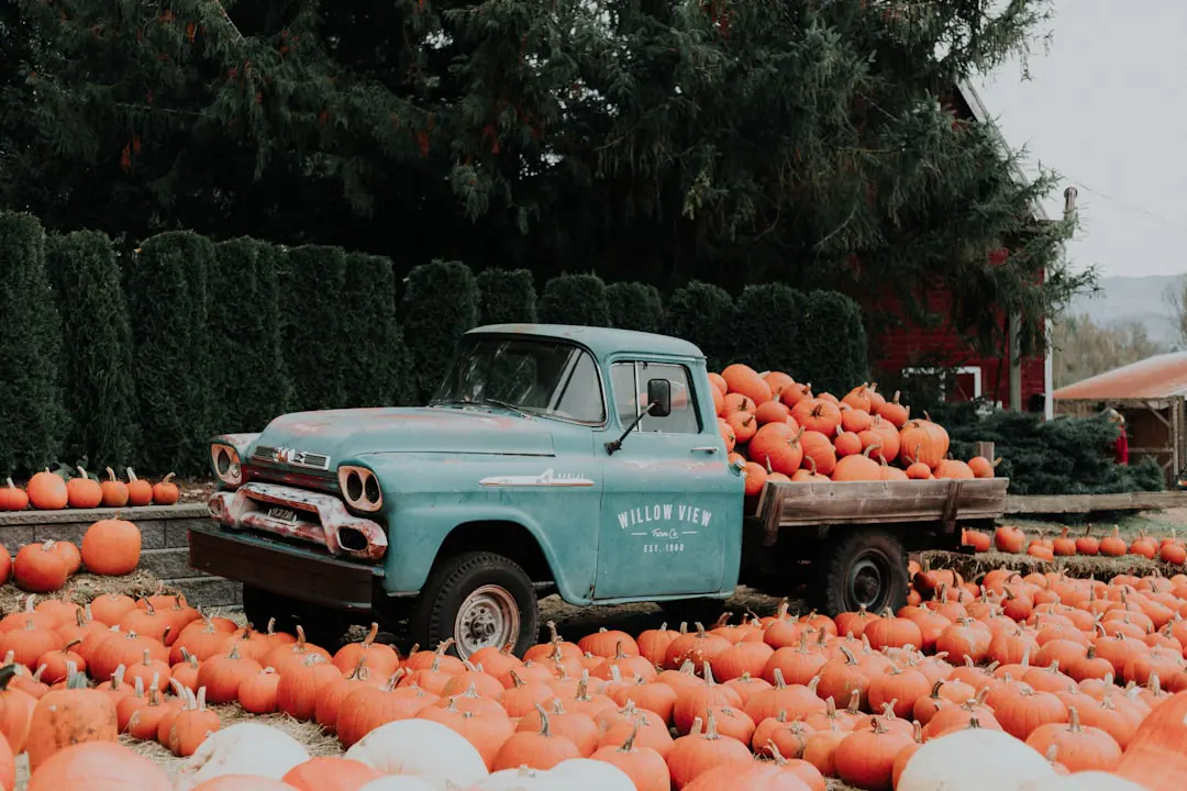 Fall in Boca Raton: What the Season Is Actually Like at Waterford Bay Apartments