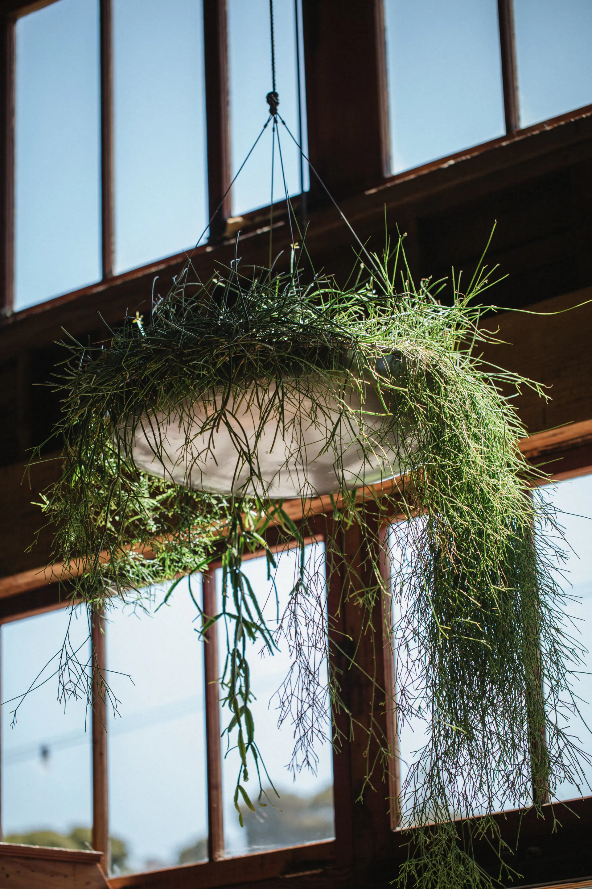 Green Gray Hanging Plant Pot