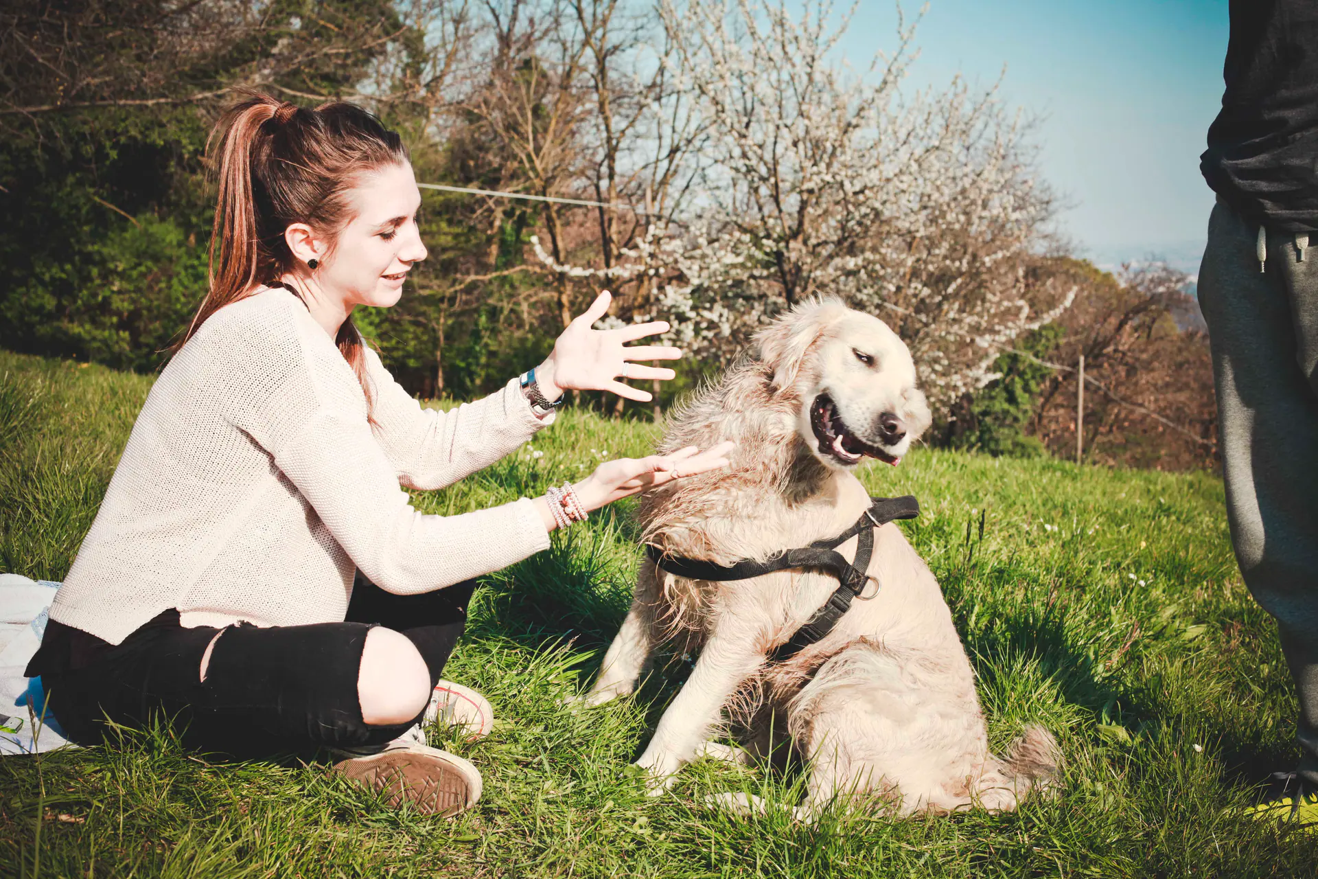 A person playing outdoors with their dog