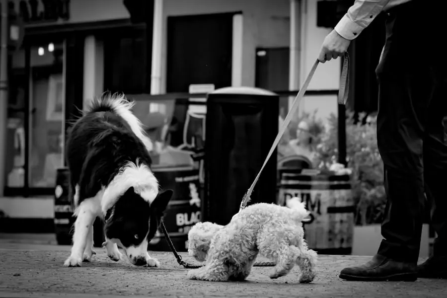 A resident spending time with their pet