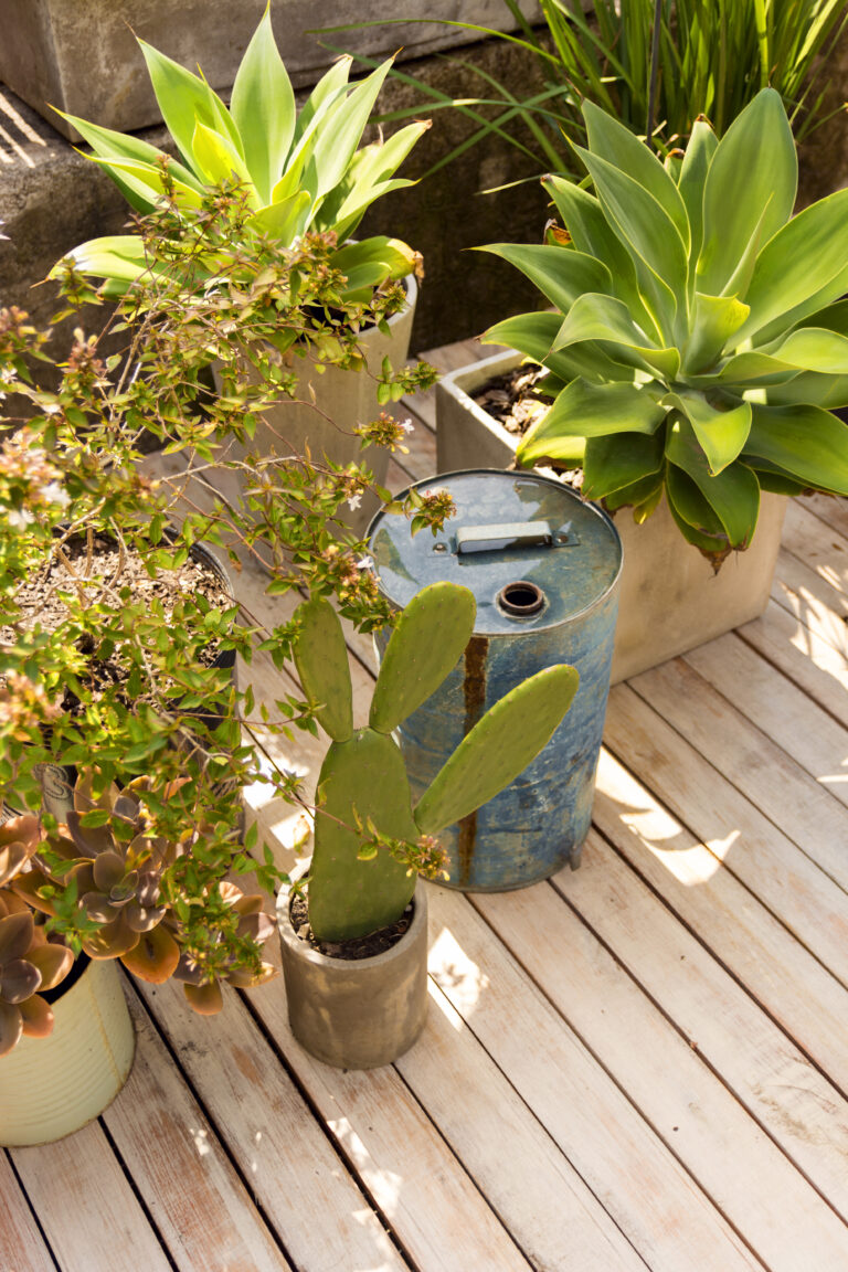 Ideal Roommate Living: 2-Bedroom Apartments Near FAU