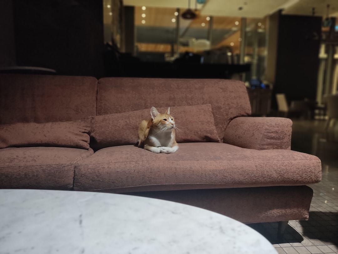 Photo Pet-Friendly Apartments