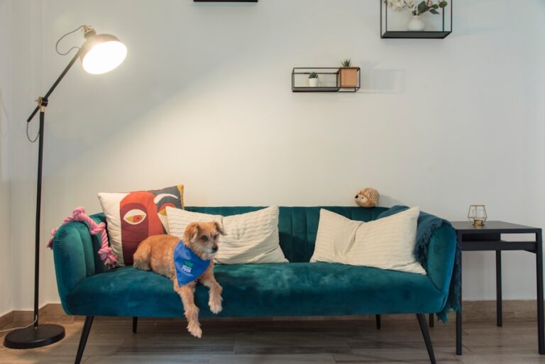 Photo Pet-Friendly Apartments